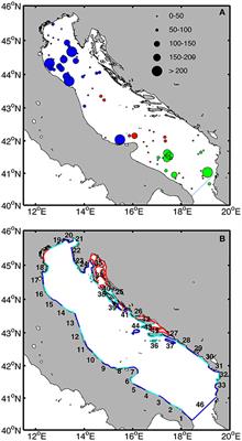 Combining Litter Observations with a Regional Ocean Model to Identify Sources and Sinks of Floating Debris in a Semi-enclosed Basin: The Adriatic Sea